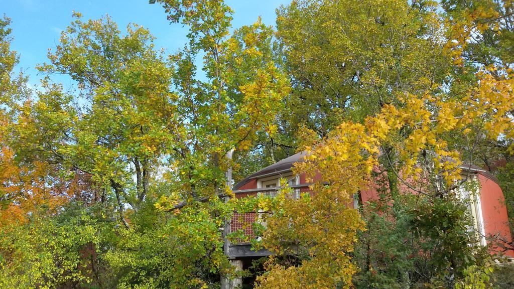Les Hauts D'Albas アルバ 部屋 写真