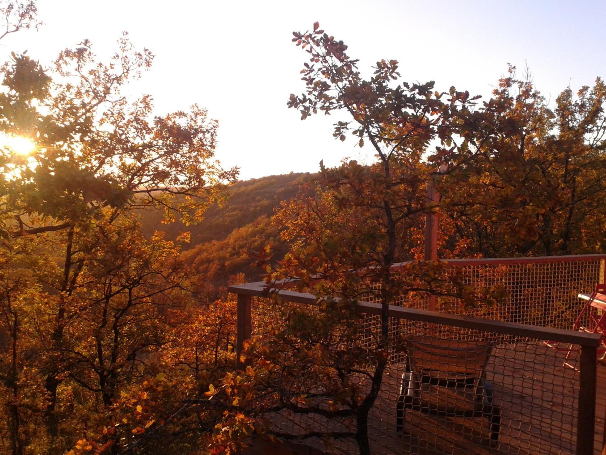 Les Hauts D'Albas アルバ 部屋 写真