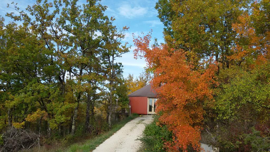 Les Hauts D'Albas アルバ 部屋 写真